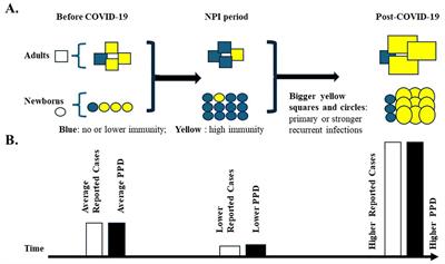 Exploring pathogen population density as a metric for understanding post-COVID infectious disease surges